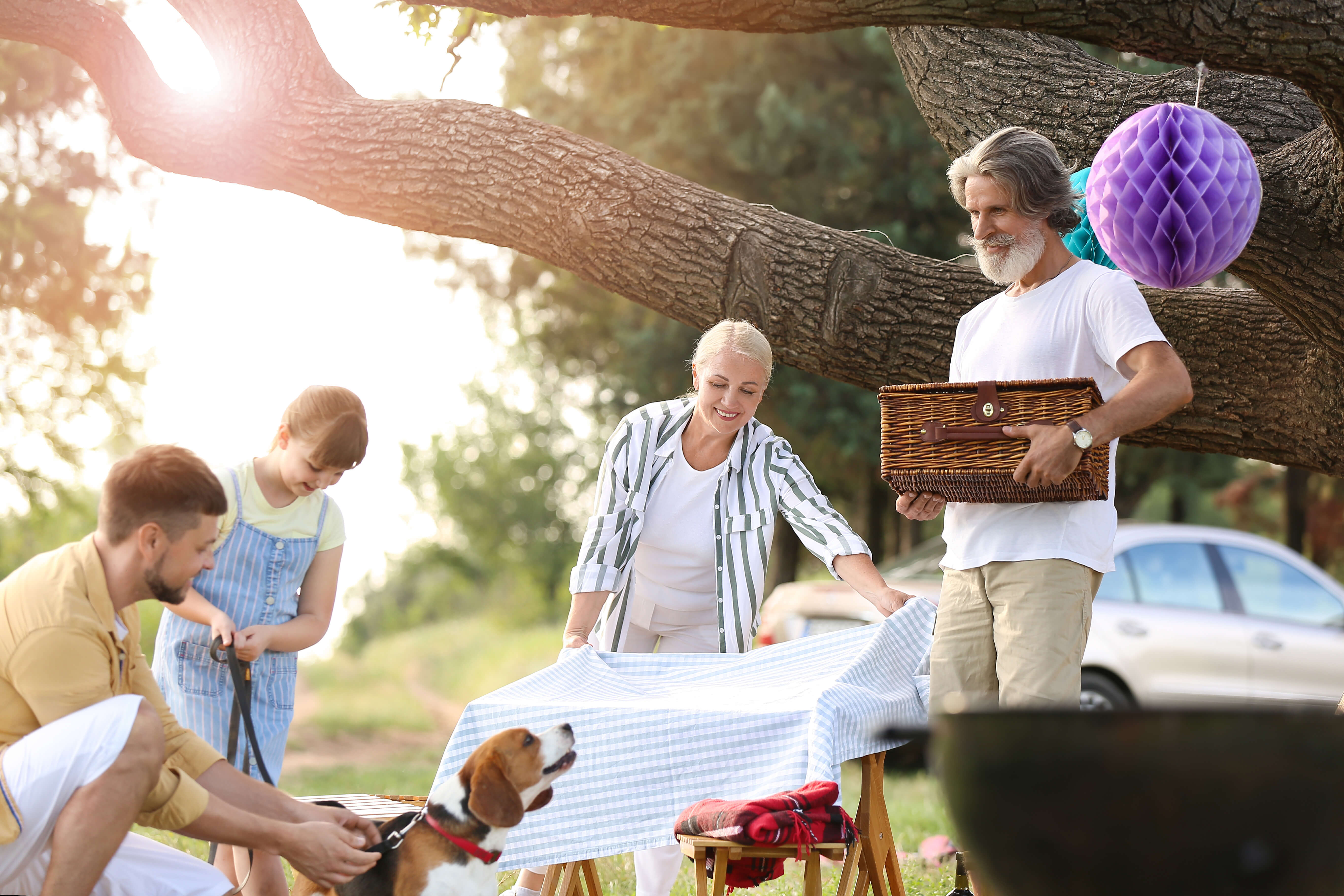 family-picnic.jpg
